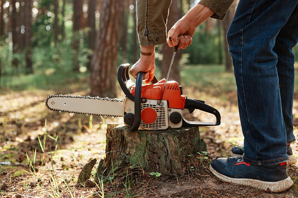 Firewood